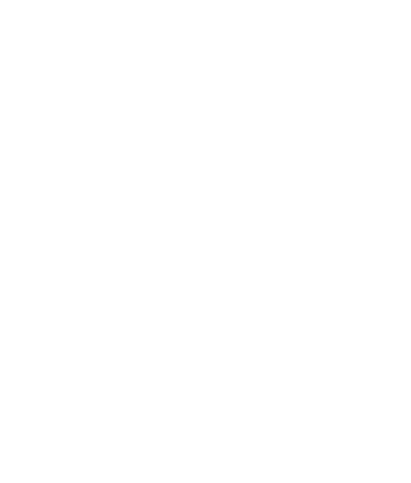 PLAY logo